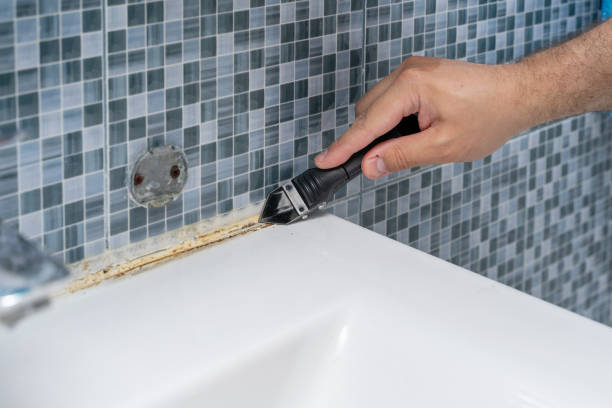 Mold Removal Process in Julesburg, CO