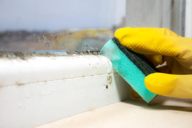 Best Mold Testing  in Julesburg, CO