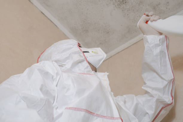 Best Mold Damage Repair  in Julesburg, CO
