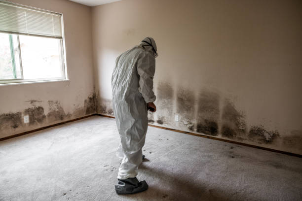 Best Mold Testing  in Julesburg, CO